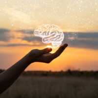 The Mindset Mojo jpg insta square